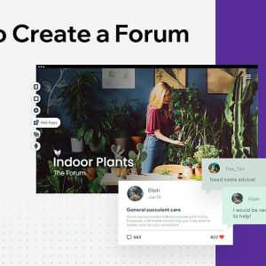 SEO for Startups Service